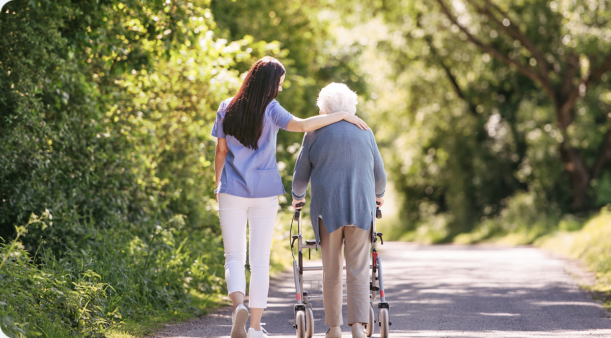 �龫����ϵ��