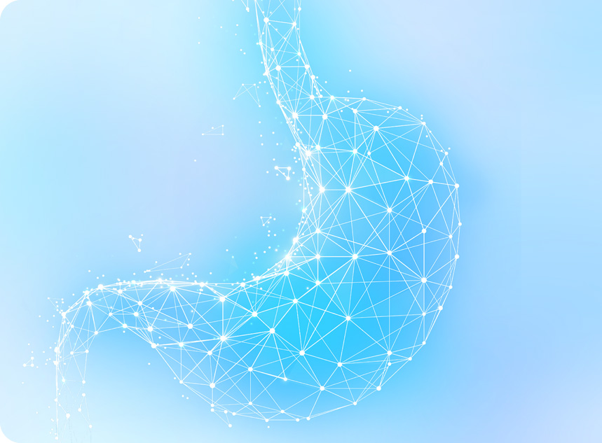 ������лϵ��