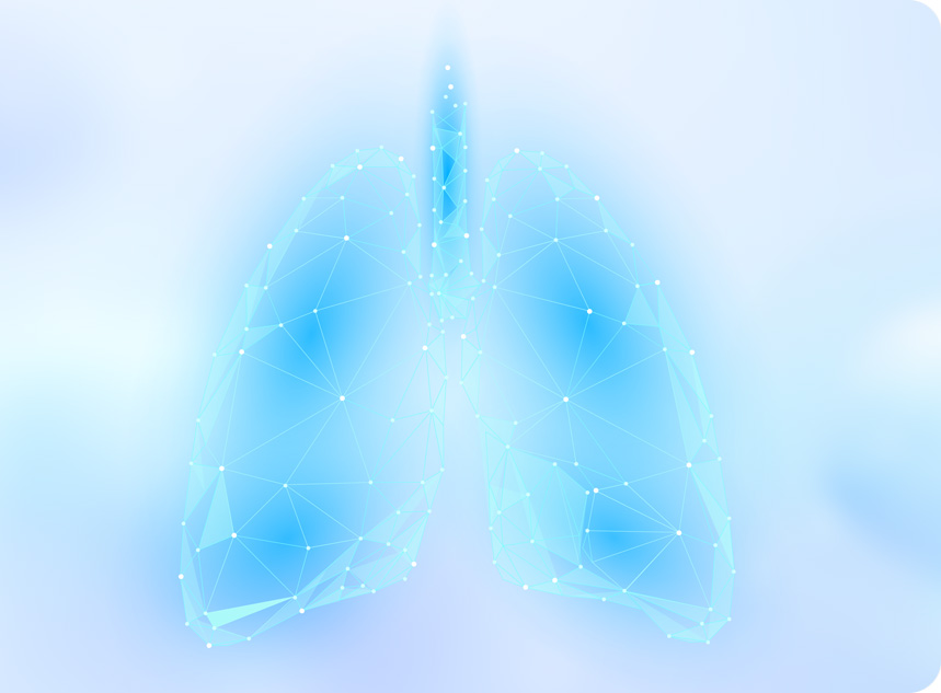 ����������ϵ��