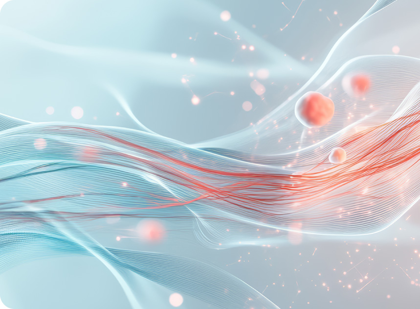 ����Ѫ��ϵ��