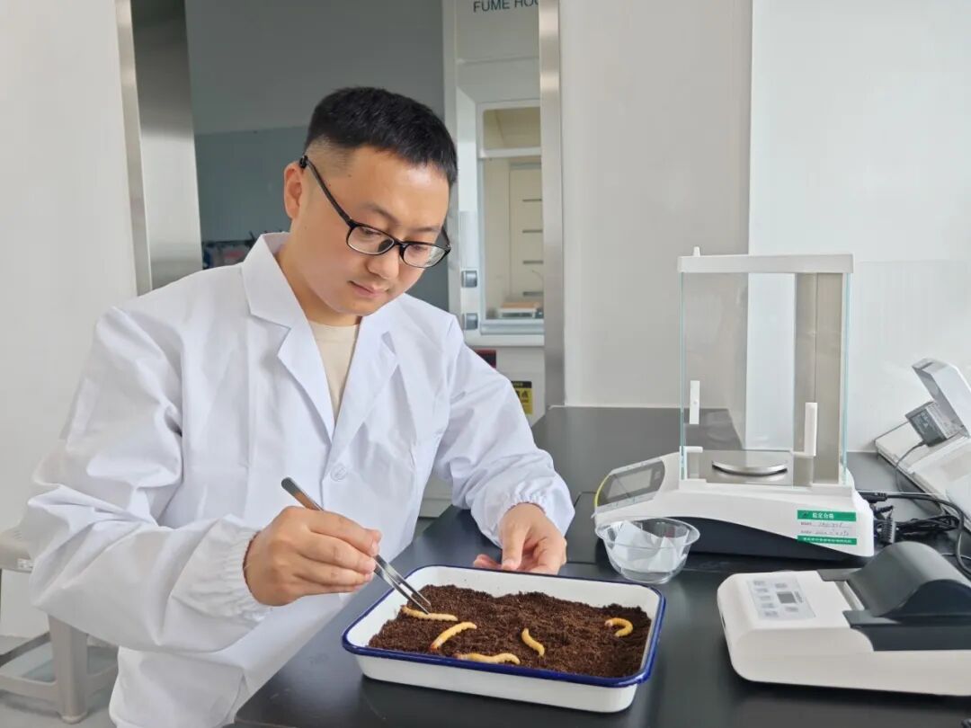 8455Ïß·¼ì²âÖÐÐÄ(Öйú)ÓÐÏÞ¹«Ë¾-Official website