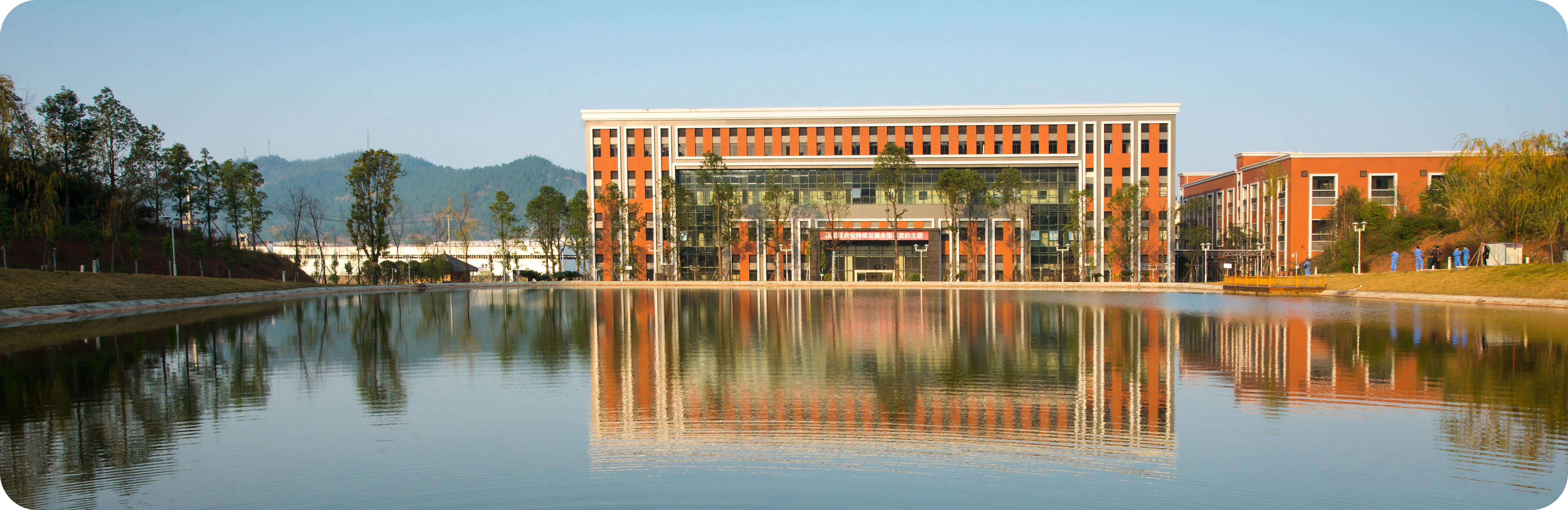 1770368156648028520.png 1770368156648028520.png